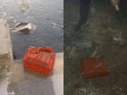Tin tức - Tưởng vớt được kho báu dưới sông, người đàn ông tá hỏa khi mở ra, lập tức đem đi chôn