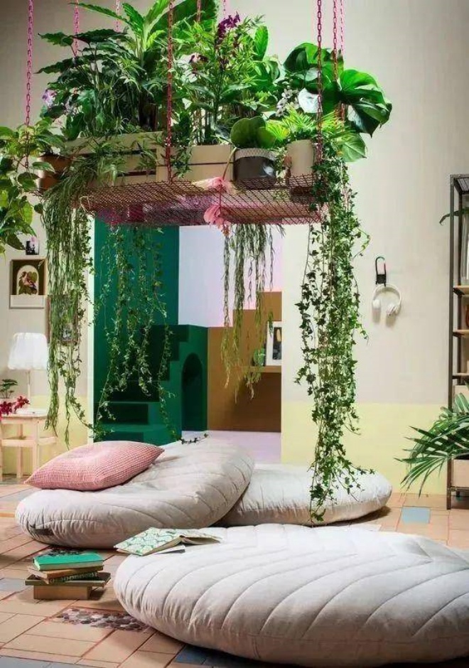 7 ways to grow bonsai as good as a forest in a cramped townhouse - 15