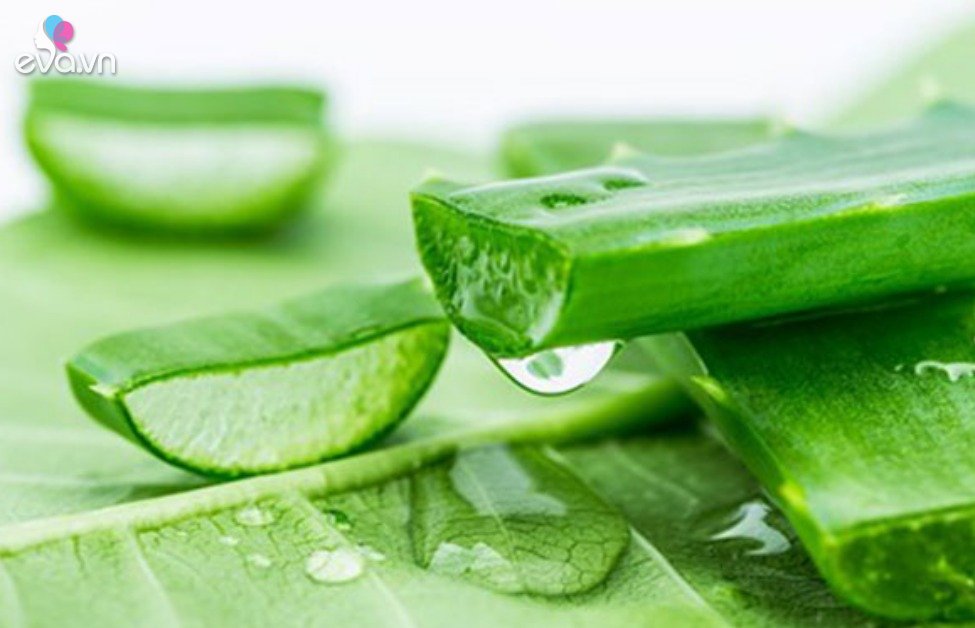 Aloe vera juice has a very good use that few people know, but using it wrong is extremely harmful