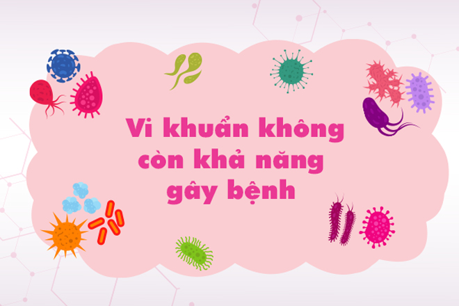 Ly giải vi khuẩn không còn khả năng gây bệnh