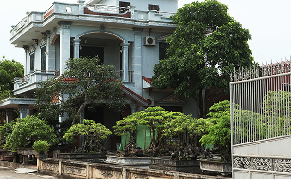 Giants village in Thai Binh rice countryside: Luxury villas spread throughout the village, hundreds of billionaires stun - 6