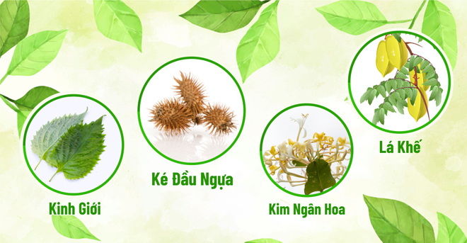Lá khế kết hợp với các loại thảo dược khác giúp tăng hiệu quả hỗ trợ điều trị dị ứng, mề đay