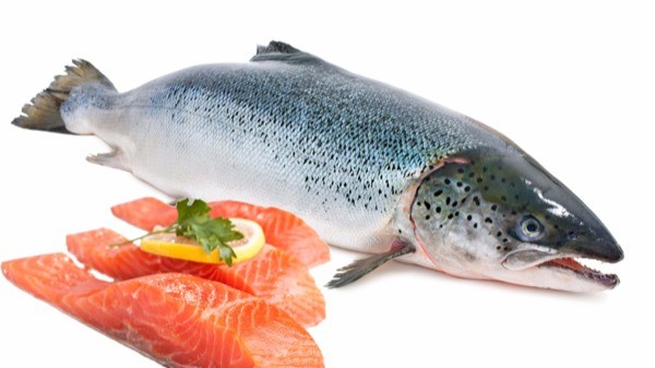 The effect of salmon?  Is it good for children to eat salmon?  - 3