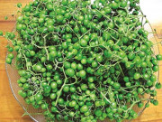 Tiêu dùng - Loại quả xưa chín rụng không ai hái, nay thành đặc sản cực ngon giá đắt ở thành phố, 150.000đồng/kg