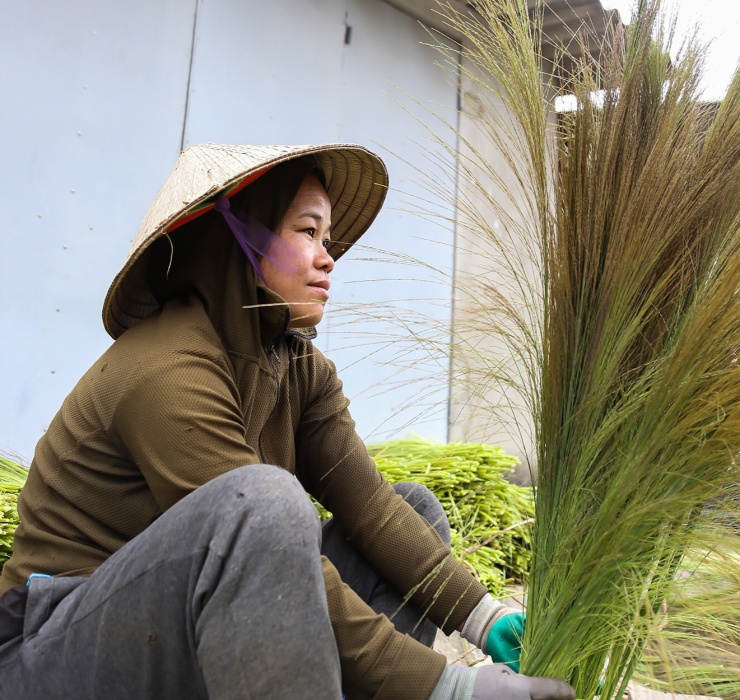 Trước khi hái đót, người hái phải dậy từ sáng sớm để chuẩn bị thức ăn, nước uống, cũng như những dụng cụ cần thiết như dao rựa, bao tay, dây buộc… và ít dầu gió để phòng ngừa côn trùng đốt. 