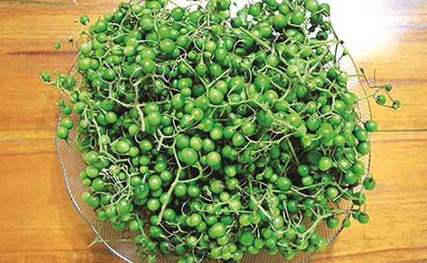 Trái chín già không ai hái, nay trở thành đặc sản ngon, đắt ở thành phố, 150.000 đồng / kg - 1 quả