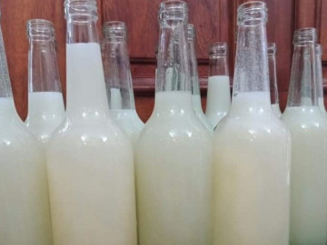 Điều ít biết về loại mật ong trắng như sữa, giá nửa triệu đồng/lít