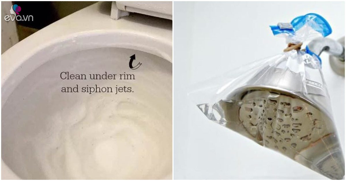 Dirty and smelly toilet, the following 4 tips will quickly decontaminate and help clean like new