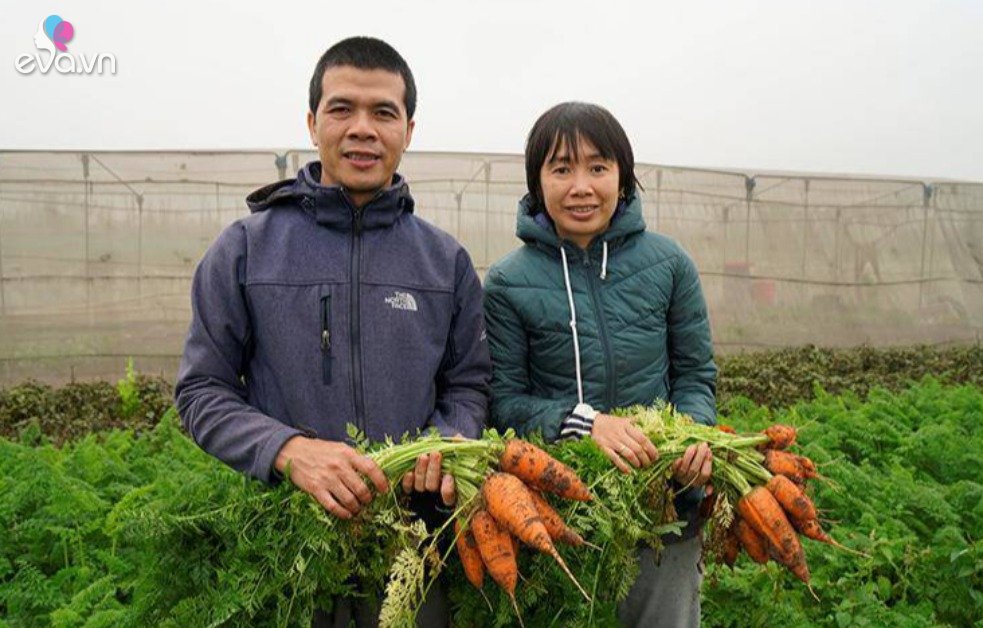 Growing good, cheap vegetables, how do the doctor and wife leave their jobs to go back to their hometown?