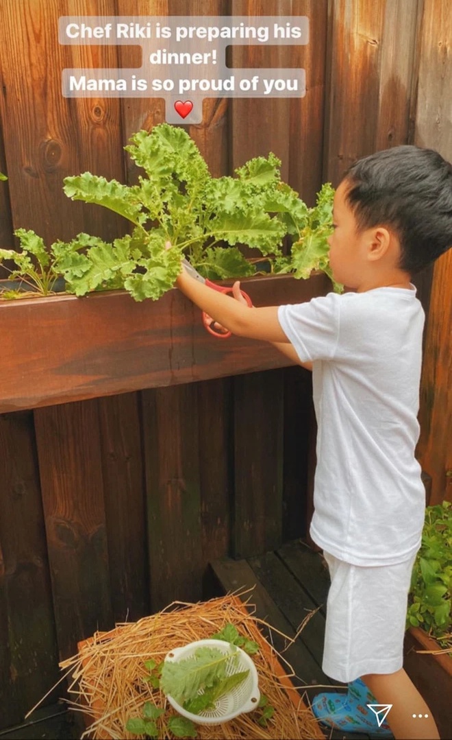 The son of Tang Thanh Ha is 7 years old, his mother made a unique cake, the inside is even more surprising - 15