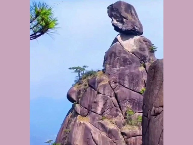 Trắc nghiệm tâm lý: Bạn đã thấy hình ảnh gì đầu tiên?