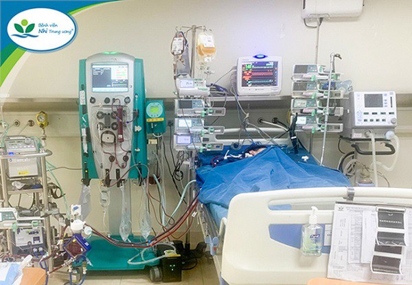 Bé Q đã phải lọc thận, chạy ECMO trong nhiều ngày. Ảnh: BVCC