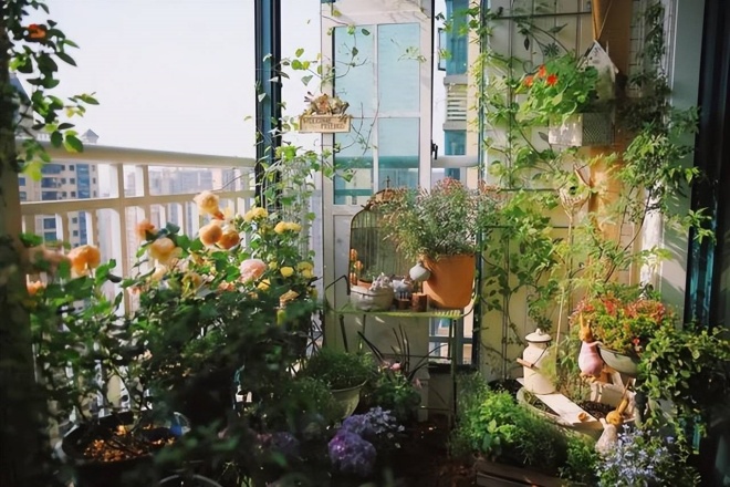It takes 20 days to grow bonsai, create a garden on the balcony, enjoy a romantic life - 1
