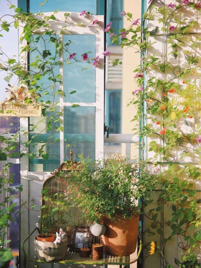 It takes 20 days to grow bonsai, create a garden on the balcony, enjoy a romantic life - 3