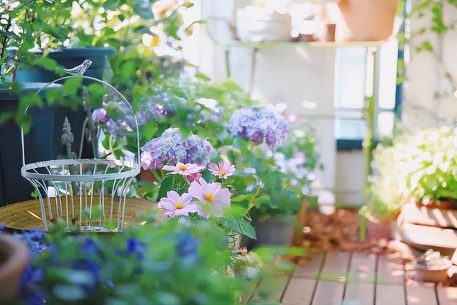 It takes 20 days to grow bonsai, create a garden on the balcony, enjoy a romantic life - 4