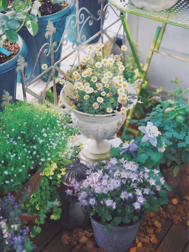 It takes 20 days to grow bonsai, create a garden on the balcony, enjoy a romantic life - 5