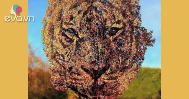 Did you see the tree or the tiger first?