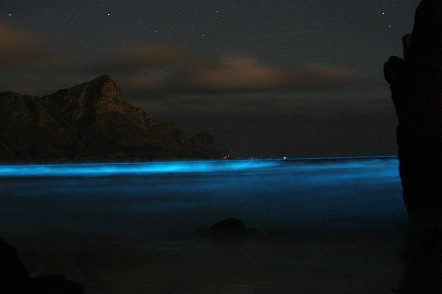 The special sea has blue glowing tides, it's hard for anyone to see - 1