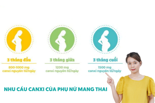 Không chỉ cần canxi, mẹ bầu còn cần Canxi organic Menacal - 2