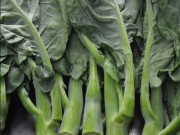 Xem ăn chơi - Loại rau xưa đầy, giờ thành đặc sản hấp dẫn chị em nội trợ, thơm ngon lại vô cùng rẻ