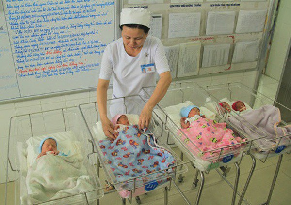 Two famous mothers with multiple pregnancies in Vietnam: Difficult pregnancy, finished birth  cubs - 7