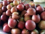 Xem ăn chơi - Loại quả xưa đầy không ai ăn, giờ thành đặc sản quý hiếm, ai muốn mua phải đến nơi này