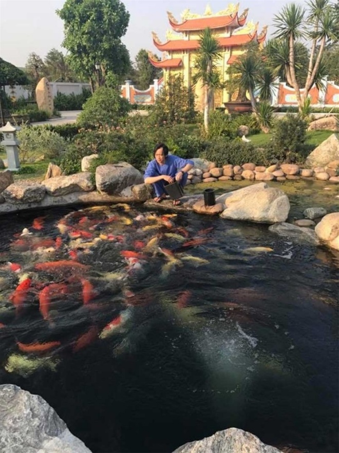A series of Vietnamese stars have a billion-dollar aquarium: Truong Giang built it for his daughter, Nhat Kim Anh is a giant - 4