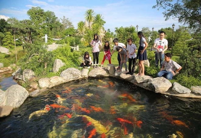 A series of Vietnamese stars with a billion-dollar aquarium: Truong Giang built it for his daughter, Nhat Kim Anh is a giant - 5