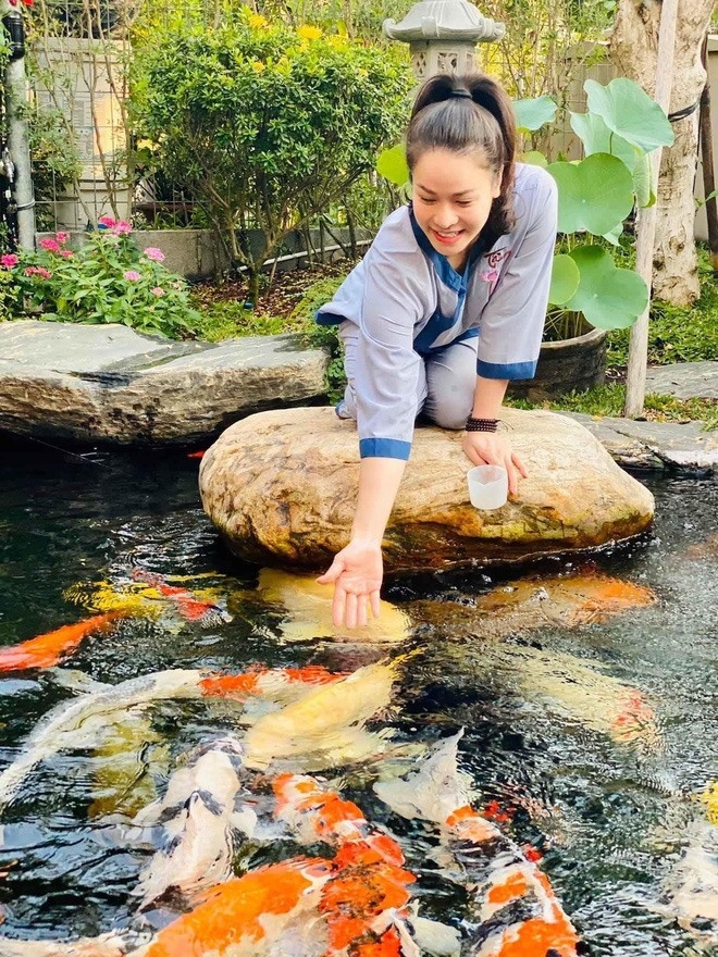 A series of Vietnamese stars have a billion-dollar aquarium: Truong Giang built it for his daughter, Nhat Kim Anh is a giant - 6