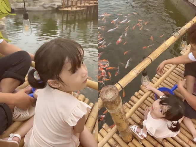 A series of Vietnamese stars have a billion-dollar aquarium: Truong Giang built it for his daughter, Nhat Kim Anh is a giant - 3
