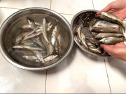 Xem ăn chơi - Loại cá xưa rẻ bèo, giờ thành đặc sản nổi tiếng được nhà hàng "săn lùng" ráo riết, 150.000 đồng/kg