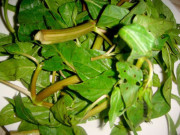 Tiêu dùng - Loại rau dại xưa nhổ vứt đi, giá rẻ bèo, nay là đặc sản ngon nổi tiếng được ưa chuộng