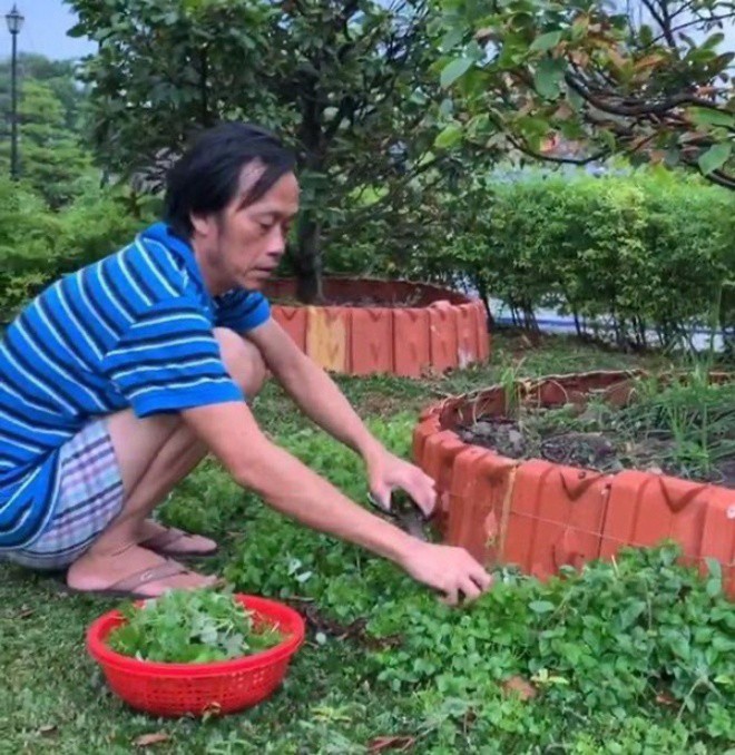 When Vietnamese stars come of age, they don't like to make noise about the garden, live like a farmer, even though they make billions - 1