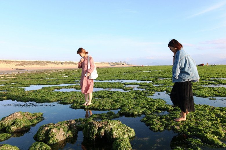 Điểm amp;#34;check-inamp;#34; siêu hút khách ở Ninh Thuận: Cánh đồng rêu xanh mướt đẹp mê hồn - 5