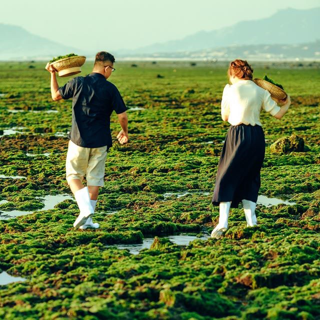 Điểm amp;#34;check-inamp;#34; siêu hút khách ở Ninh Thuận: Cánh đồng rêu xanh mướt đẹp mê hồn - 2