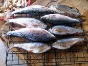 Xem ăn chơi - Đặc sản nổi tiếng Quảng Nam, xưa có đầy không ai ăn, giờ được người giàu "săn lùng", 400.000/kg