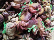 Tiêu dùng - Đặc sản độc nhất vô nhị chỉ có ở Hà Giang, xưa giá rẻ, nay người giàu ưa chuộng 170.000đồng/kg