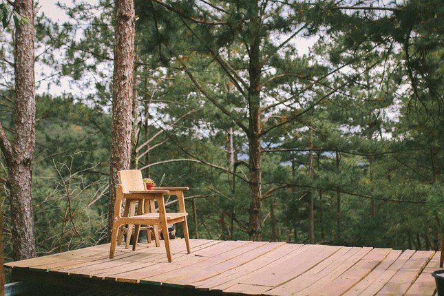 Discover cafes hidden deep in the forests of Da Lat: Very green and peaceful - 8