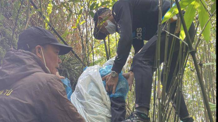 Falling into Yen Tu cliff, a woman was saved after 7 days of eating wild leaves - 1