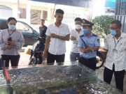 Tin tức - Hóa đơn hải sản 42,5 triệu đồng ở Nha Trang: Thực khách sẵn sàng làm "ra ngô ra khoai"