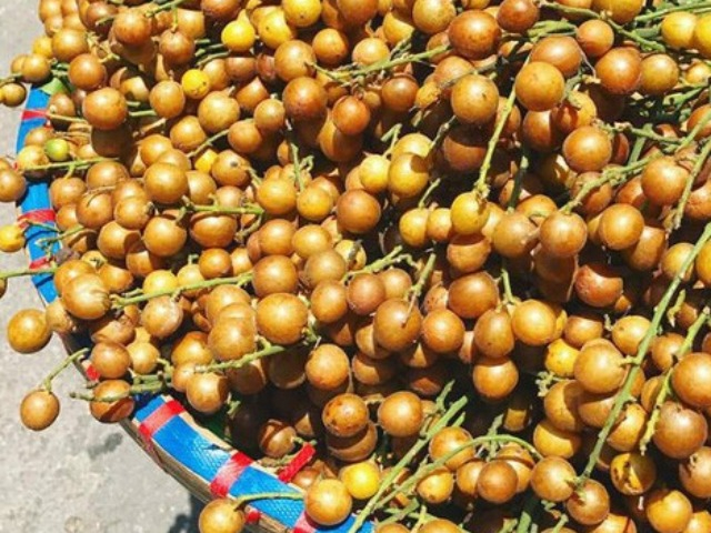 Loại quả xưa có đầy không ai hái, nay là đặc sản đắt đỏ ở thành phố được săn lùng, 210.000đồng/kg