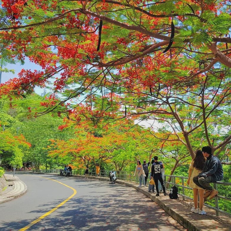 Mùa hoa phượng bắt đầu từ tháng 5, tháng 6 nên du khách có thể thoải mái check-in chụp ảnh 