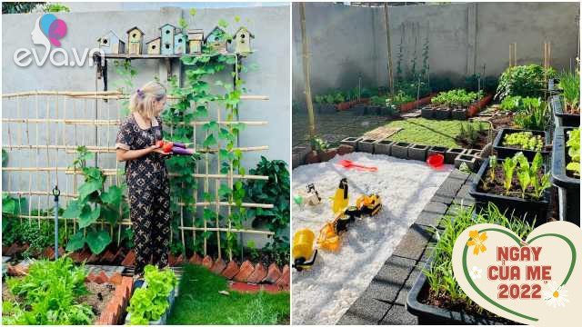 Mom makes sure Dak Lak transforms bare land into a clean vegetable garden and a playground for children