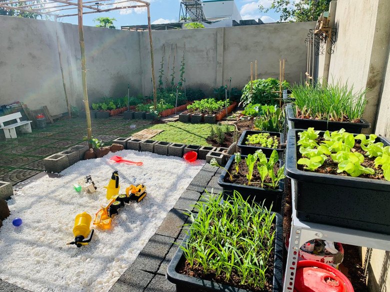 Mẹ đảm Đắk Lắk cải tạo đất trống thành vườn rau sạch và sân chơi cho con - 7