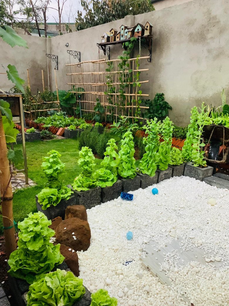 Mother makes Dak Lak renovate bare land into a clean vegetable garden and a playground for children - 12