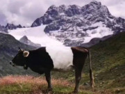 Eva tám - Trắc nghiệm tâm lý: Hình ảnh đầu tiên nhìn thấy tiết lộ tài lộc, sự nghiệp trong tháng 5 này