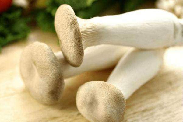 Buy chicken thigh mushrooms, don't choose big trees, growers tell you 5 surprising tips - 7