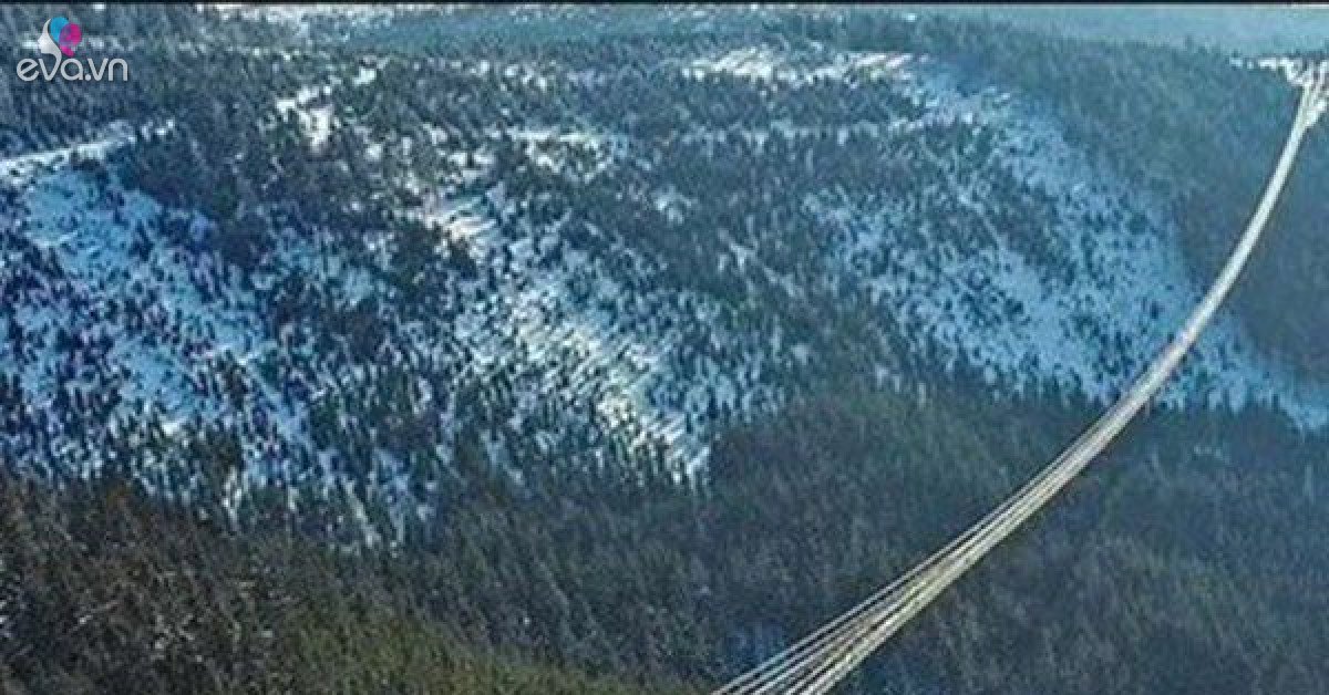 Heart-stopping with the world’s longest suspension bridge spanning a deep valley
