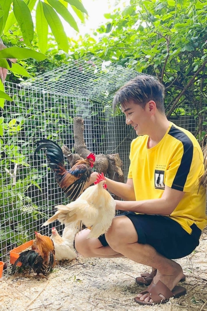 Vietnamese stars raise money in a billion-dollar mansion: Dam Vinh Hung raises chickens, Hong Ngoc has enough eggs to eat - 3