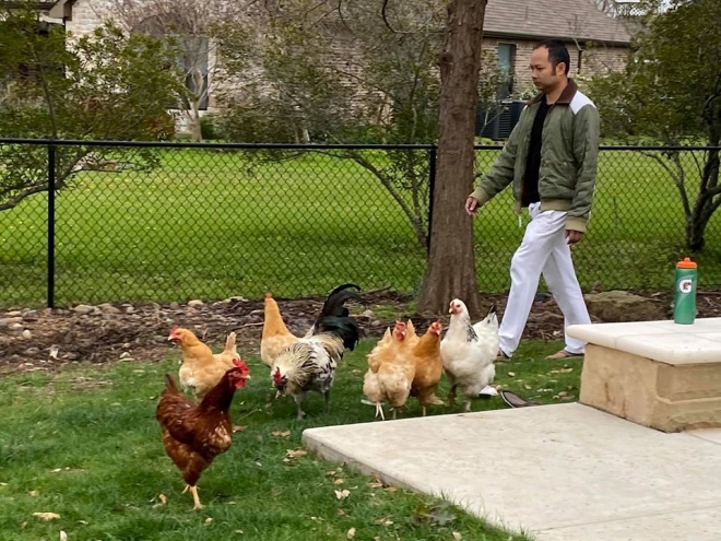 Vietnamese stars raise money in a billion-dollar mansion: Dam Vinh Hung raises chickens, Hong Ngoc has enough eggs to eat - 7